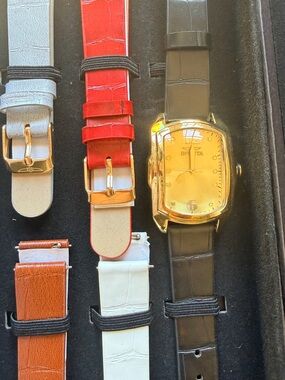 Invicta women’s Lupah Special Edition Watch